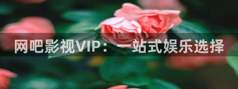 优优色在线欧美影院：网吧影视VIP：一站式娱乐选择