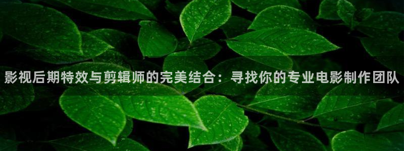 矿桥欧美影院在线观看：影视后期特效与剪辑师的完美结合：寻找你的专业电影制作团队
