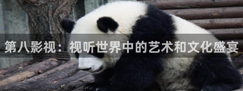 欧美影院电影大全